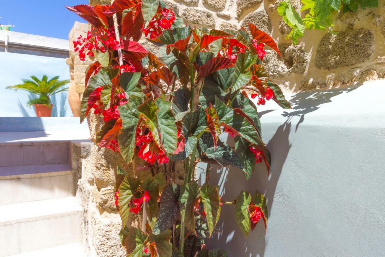 Colours - Old Town - Studios Rhodes City Bagian luar foto